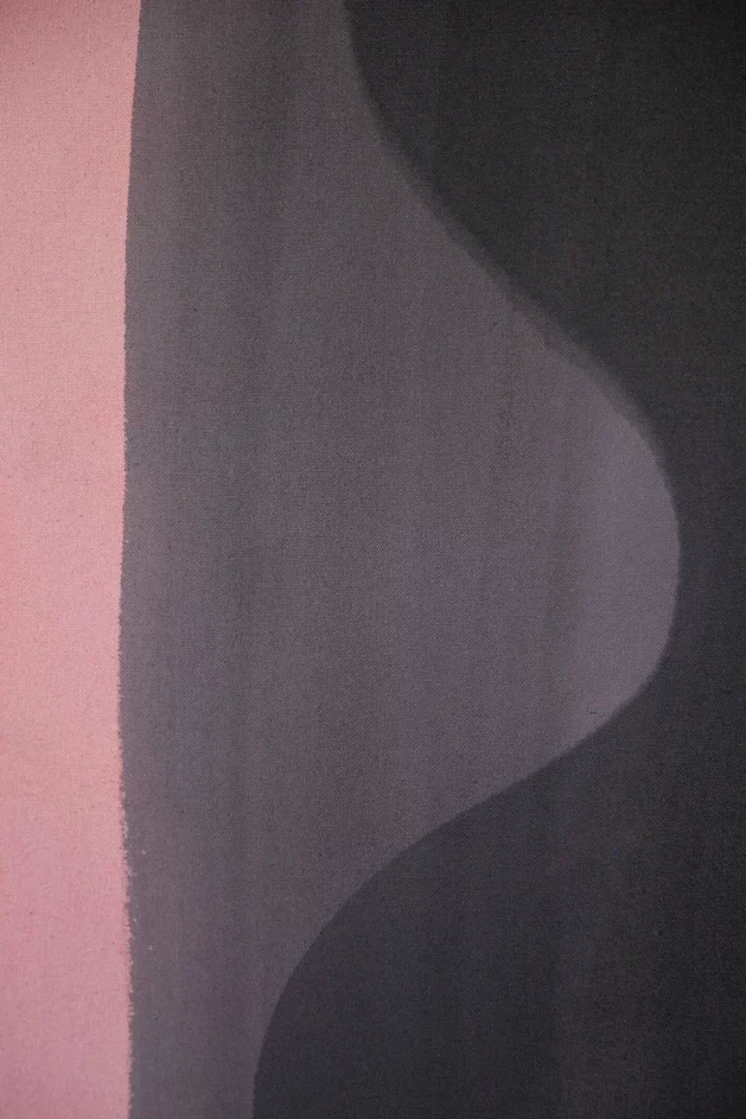 Beth Shapeero, The Exotic, The Erotic, The Barbaric and The Heroic, 2025, mixed paint on canvas (detail)
